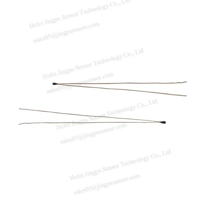 Seawater Temperature Sensor 10